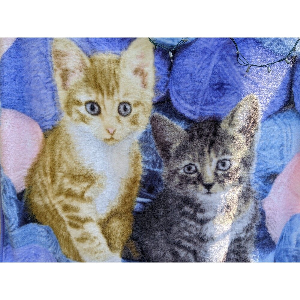 Greg Cuddiford Blanket Throw Two Kittens Cats Yarn Northwest 50 x 60" Soft Warm